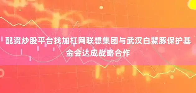 配资炒股平台找加杠网联想集团与武汉白鱀豚保护基金会达成战略合作
