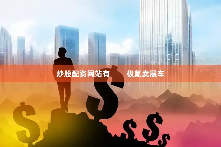 炒股配资网站有        极氪卖展车